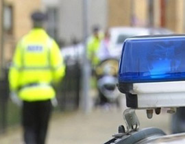 خنقت امها حتى الموت بعد جدال عنيف حول قطة!!! صورة رقم 1