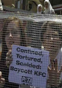 مواطنان يحتجان على بشاعة تعذيب الدجاج في مطاعم KFC!! صورة رقم 1 مواطنان يحتجان على بشاعة تعذيب الدجاج في مطاعم KFC!! صورة رقم 1