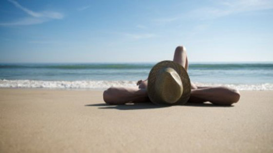 سفير اسرائيلي يسرق قطط زوجته وإحتياجاتها ويفر هاربا!  صورة رقم 1