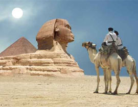 استعداداً لشهر رمضان.. مصر تستورد 57 ألف رأس جمل!! صورة رقم 1