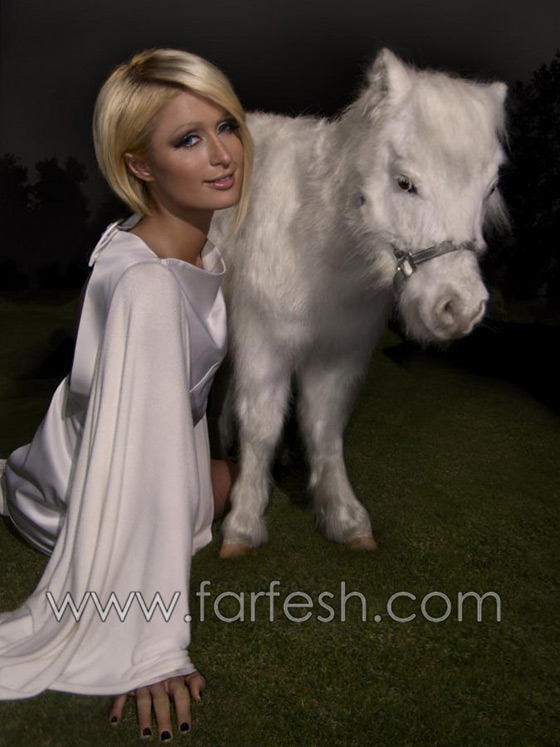 بعد أن ترتديهم مرة واحدة.. هيلتون تهدي ملابسها لصديقاتها صورة رقم 15 بعد أن ترتديهم مرة واحدة.. هيلتون تهدي ملابسها لصديقاتها صورة رقم 15