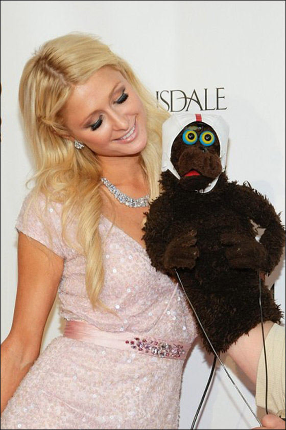 بعد أن ترتديهم مرة واحدة.. هيلتون تهدي ملابسها لصديقاتها صورة رقم 23 بعد أن ترتديهم مرة واحدة.. هيلتون تهدي ملابسها لصديقاتها صورة رقم 23