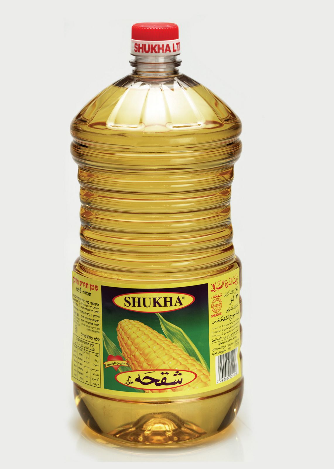 في رمضان... مسؤوليتك صحة عائلتك ومسؤوليتنا أيضا صورة رقم 1