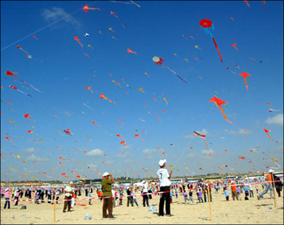 الطائرات الورقية تغطي سماء غزة! صورة رقم 9 الطائرات الورقية تغطي سماء غزة! صورة رقم 9