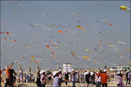 الطائرات الورقية تغطي سماء غزة! صورة رقم 6 الطائرات الورقية تغطي سماء غزة! صورة رقم 6