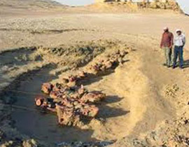 مطار القاهرة: المطالبة بدفع 200 ألف جنيه بسبب هيكل حوت! صورة رقم 1