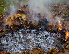 لتقليص مساحات القبور.. قاعة لحفظ رماد الموتى! صورة رقم 1