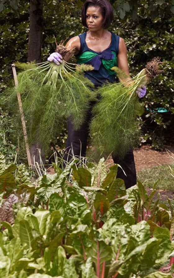 ميشيل أوباما تطالب بقانون لتحسين تغذية الأطفال!  صورة رقم 4