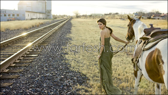 ساندرا بولوك من اكثر الممثلات دخلا!!  صورة رقم 15