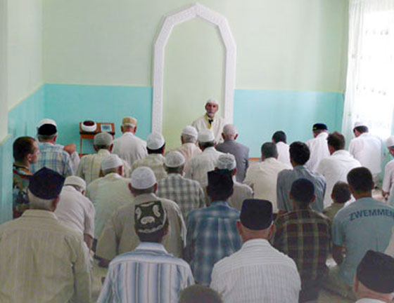 التتار يطلقون مشروع التتار يطلقون مشروع