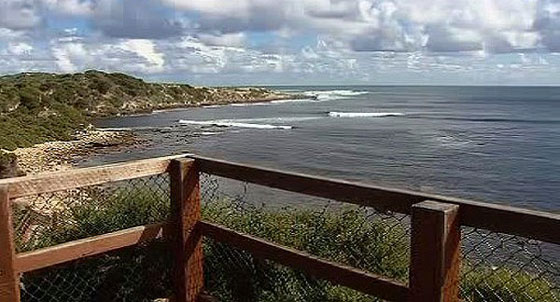 سمكة قرش قتلت متزلجا استراليا بالرغم من افلاته منها!! صورة رقم 4 سمكة قرش قتلت متزلجا استراليا بالرغم من افلاته منها!! صورة رقم 4