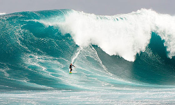 سمكة قرش قتلت متزلجا استراليا بالرغم من افلاته منها!! صورة رقم 1 سمكة قرش قتلت متزلجا استراليا بالرغم من افلاته منها!! صورة رقم 1