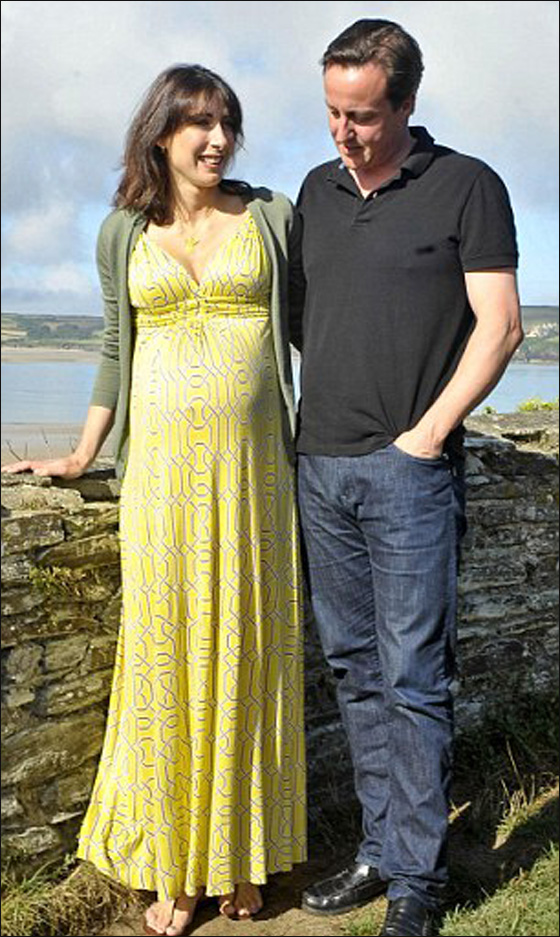 تأجير منزل ديفيد كامرون بـ 9318 دولار شهريا!  صورة رقم 5