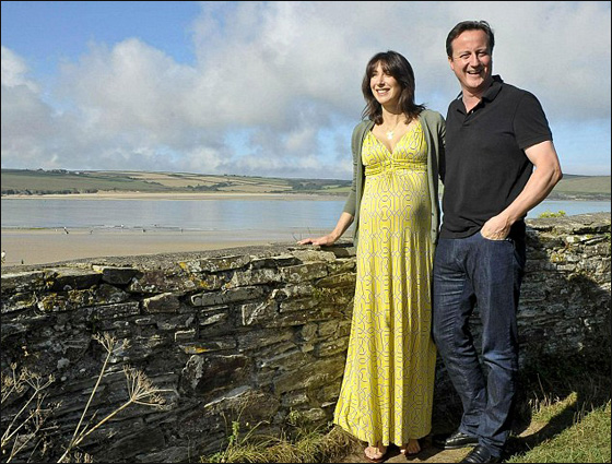 تأجير منزل ديفيد كامرون بـ 9318 دولار شهريا!  صورة رقم 6