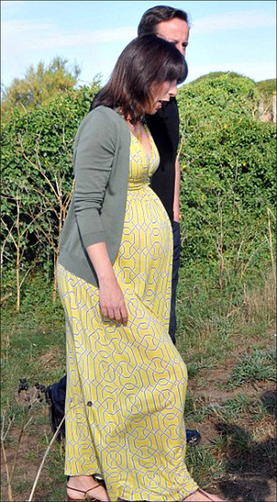 تأجير منزل ديفيد كامرون بـ 9318 دولار شهريا!  صورة رقم 8