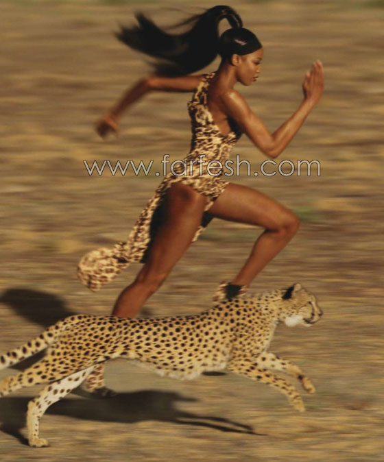 كامبل تنهال بوابل من الشتائم على نادل بسبب سلطة! صورة رقم 6 كامبل تنهال بوابل من الشتائم على نادل بسبب سلطة! صورة رقم 6