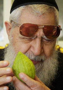 عوفاديا يوسف: ليختفي كل من عباس والفلسطينيين من العالم! صورة رقم 1 عوفاديا يوسف: ليختفي كل من عباس والفلسطينيين من العالم! صورة رقم 1