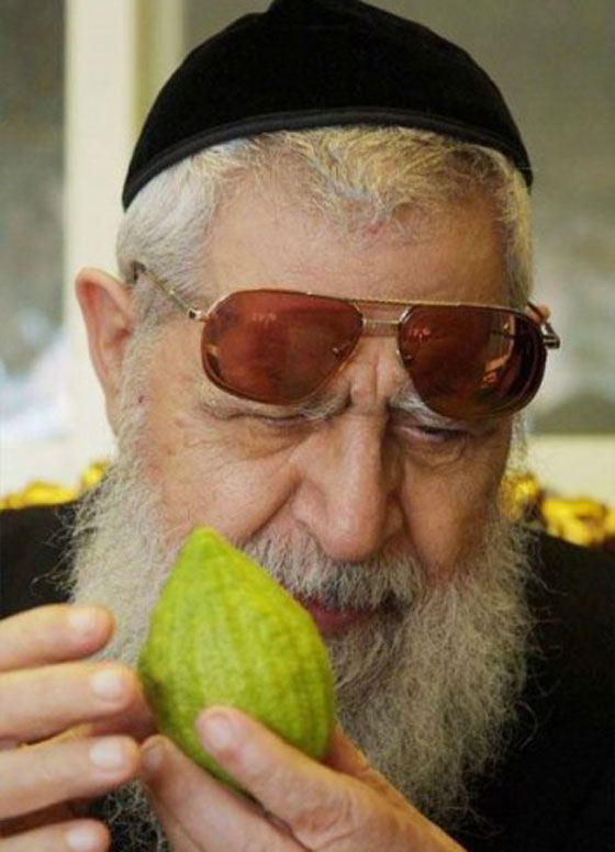 عوفاديا يوسف: ليختفي كل من عباس والفلسطينيين من العالم! صورة رقم 9 عوفاديا يوسف: ليختفي كل من عباس والفلسطينيين من العالم! صورة رقم 9