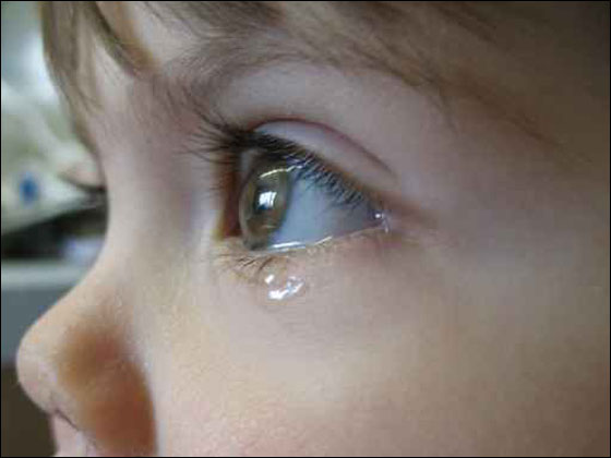 تركيا: وفاة 4 اشقاء داخل ثلاجة! صورة رقم 1