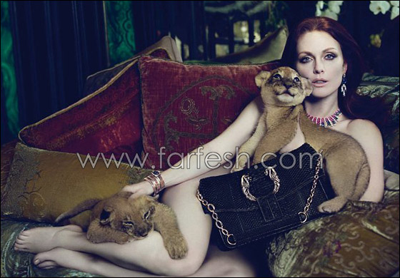 جوليان مور تستلقي على أريكة منزوعة!! صورة رقم 1 جوليان مور تستلقي على أريكة منزوعة!! صورة رقم 1