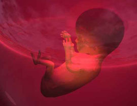 تسليم مستشفى لندن جنين بداخل كيس بلاستيك! صورة رقم 1 تسليم مستشفى لندن جنين بداخل كيس بلاستيك! صورة رقم 1