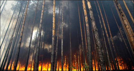 اليكم اهم الكوارث الطبيعية في عام 2010! صورة رقم 3 اليكم اهم الكوارث الطبيعية في عام 2010! صورة رقم 3