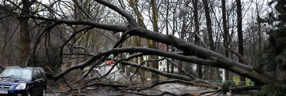 اليكم اهم الكوارث الطبيعية في عام 2010! صورة رقم 11 اليكم اهم الكوارث الطبيعية في عام 2010! صورة رقم 11