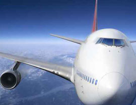 هبوط اضطراري لطائرة مصرية بعد ارتطام طائر عملاق بها صورة رقم 1 هبوط اضطراري لطائرة مصرية بعد ارتطام طائر عملاق بها صورة رقم 1