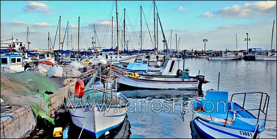 عكا تستعد لاستقبال عشرات الآلاف في عيد الفطر السعيد  صورة رقم 8