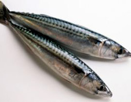 الغاء فقرة في السيرك الروسي بسبب ابتلاع امراة لسمكة حية! صورة رقم 1 الغاء فقرة في السيرك الروسي بسبب ابتلاع امراة لسمكة حية! صورة رقم 1