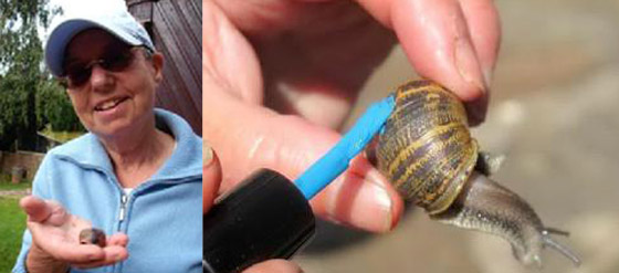 افضل عالمة هاوية لعام 2010.. مقتفية آثار الحلزون!!        صورة رقم 5