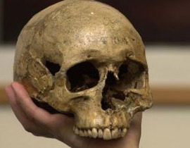 اعتقال سائحان امريكيان في مطار أثينا لأنهما اشتريا 6 جماجم بشرية! صورة رقم 1 اعتقال سائحان امريكيان في مطار أثينا لأنهما اشتريا 6 جماجم بشرية! صورة رقم 1