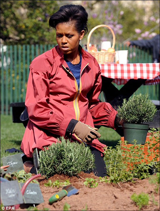 اوباما تقيم مأدبة 