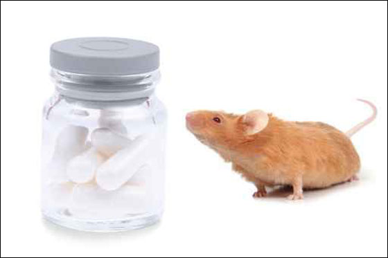 تنتحر لرفض أهلها عريسها! صورة رقم 1