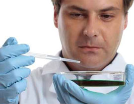 يدخل موقعا اباحيا فيجد زوجته ام أطفاله الـ 4 فيكتشف انه عاجز! صورة رقم 2