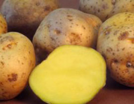 مطعم بريطاني يقدم لزبائنه طعام الحيوانات!  صورة رقم 1