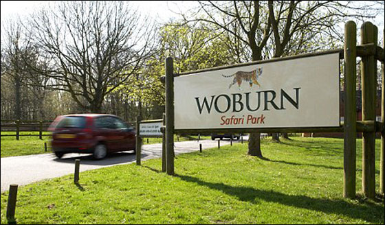 مطعم بريطاني يقدم لزبائنه طعام الحيوانات!  صورة رقم 3