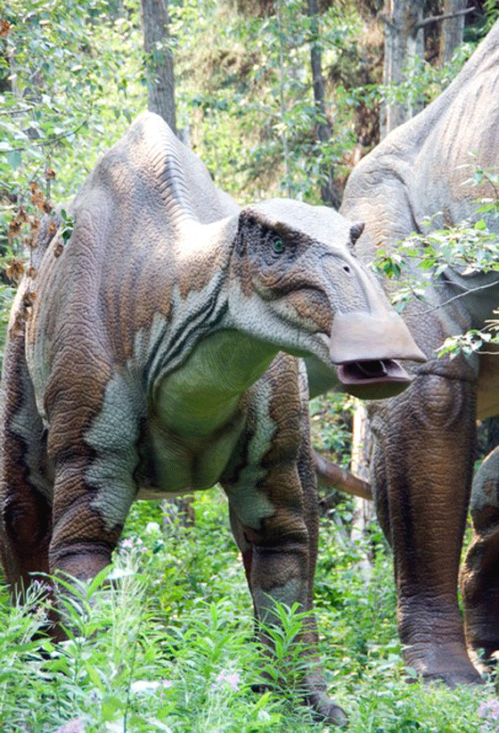 العثور على اطول عظمة فخذ ديناصور بطول متر 1.92 متر  صورة رقم 4