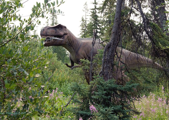 العثور على اطول عظمة فخذ ديناصور بطول متر 1.92 متر  صورة رقم 5