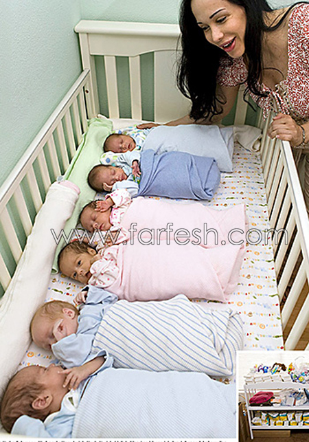 المطالبة بسحب رخصة الطبيب الذي زرع 14 جنينا في رحم أم الثمانية! صورة رقم 11 المطالبة بسحب رخصة الطبيب الذي زرع 14 جنينا في رحم أم الثمانية! صورة رقم 11