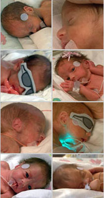 المطالبة بسحب رخصة الطبيب الذي زرع 14 جنينا في رحم أم الثمانية! صورة رقم 22 المطالبة بسحب رخصة الطبيب الذي زرع 14 جنينا في رحم أم الثمانية! صورة رقم 22