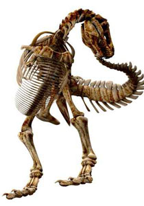 ديناصورات نادرة ستعرض للبيع في باريس! صورة رقم 1