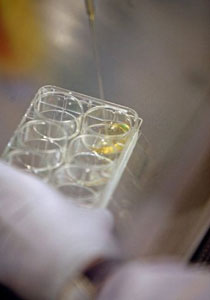 لمساعدته النساء على الحمل.. منح إدواردز جائزة نوبل للطب!    صورة رقم 1