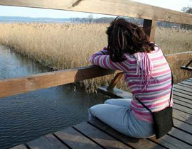 مدرّس إيطالي: يعتدي بشكل فاحش على ست قاصرات من تلميذاته!! صورة رقم 1