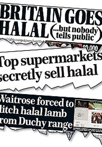 بعد انكارها.. ماكدونالدز تعترف أنها قدمت اللحم الحلال لزبائنها! صورة رقم 1