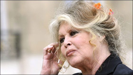 بريجيت باردو ستنافس ساركوزي.. لتحريم 