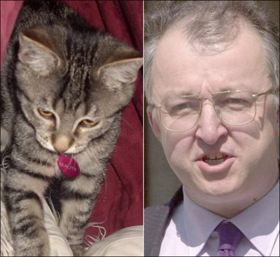 زوجة مشرع بريطاني تمثل امام المحكمة بتهمة سرقة قطة!  صورة رقم 2