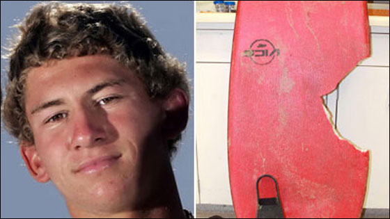 في كاليفورنيا.. قرش يقتل شاباً!! صورة رقم 1 في كاليفورنيا.. قرش يقتل شاباً!! صورة رقم 1