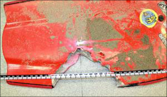 في كاليفورنيا.. قرش يقتل شاباً!! صورة رقم 2 في كاليفورنيا.. قرش يقتل شاباً!! صورة رقم 2