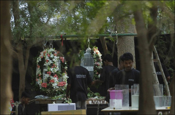 الكوميدي راسل براند يتزوج كاتي بيري ولكن.. في محمية للنمور صورة رقم 3 الكوميدي راسل براند يتزوج كاتي بيري ولكن.. في محمية للنمور صورة رقم 3